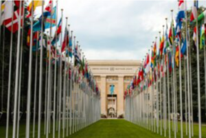 Flags of many nations lining a walkway to a building.