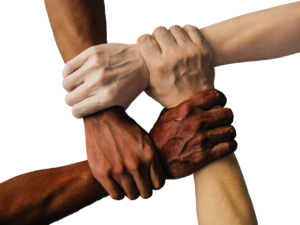 Four arms and hands from diverse people, interlocked.