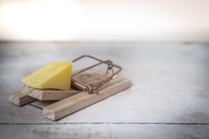 A mousetrap baited with cheese.